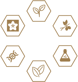 豪门国际·(中国游)官方网站